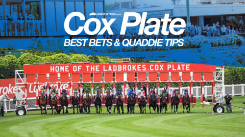 COX-PLATE-PP-500x280.jpg