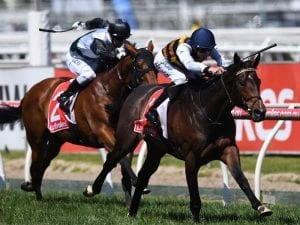 Lord Fandango wins start in Caulfield Cup