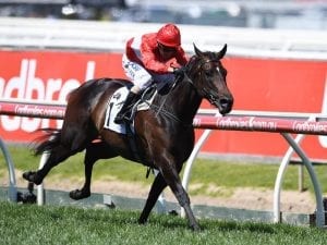 Invincible Star too slick in Caulfield win