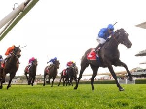 Avilius to put Plate credentials on show