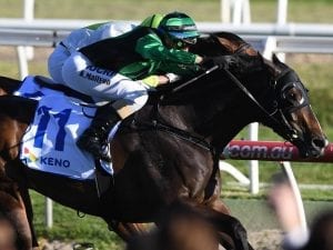 Super Cash prevails first-up at Caulfield