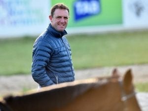 Francis Of Assisi fit for Caulfield Cup