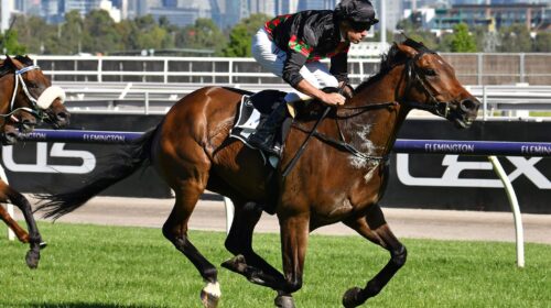 Defribrillate-2651Quentin-Lang-scaled-1-