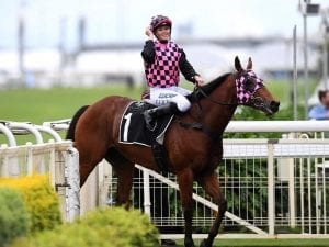 Hopfgarten defies betting drift at Doomben