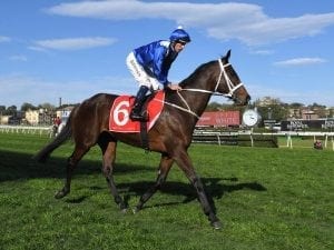 Winx all set to capture a third HOTY title