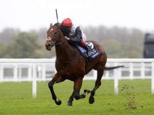 Cracksman blinkered in Champion Stakes