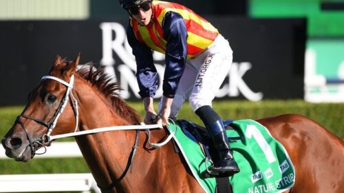 Gallops_Everest_4-3_19685784_2033611_202