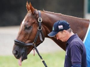 Caulfield Cup hope overcomes injury scare