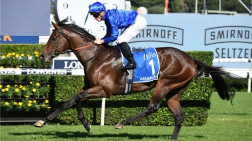 Horse-anamoe-162798-750x500-1-500x280.jp