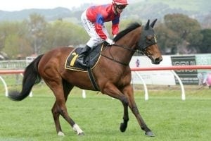 Bary to launch on local carnival