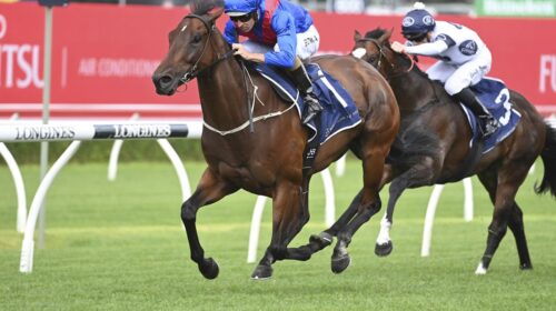 Lost-And-Running-G3-Souther-Cross-S-Rand