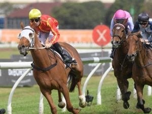 Dean Holland excited about G1 opportunity