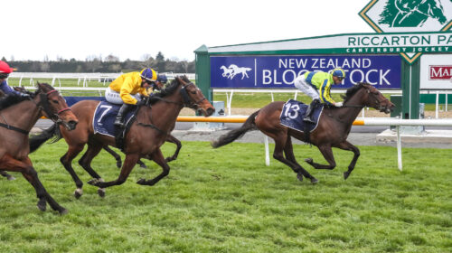 ONE-KISS-Riccarton-17.9.22-RIS-500x280.j