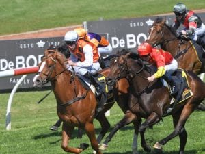 Corumbene colts on Parr for assignments