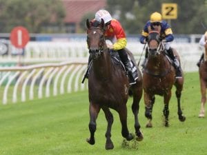 Race fitness gives Cosmic Force advantage