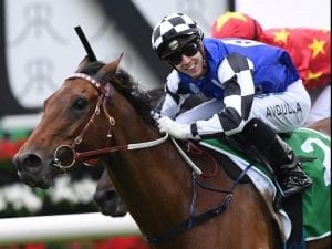 Big win for Melbourne Cup hope Big Duke