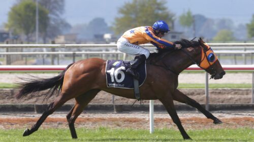 Romancing-The-Moon-a-6324-scaled-1-500x2