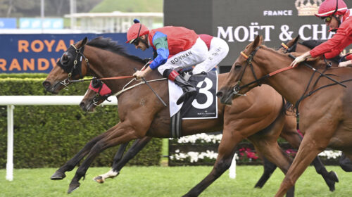 Sharp-N-Smart-Spring-Champion-S-Randwick