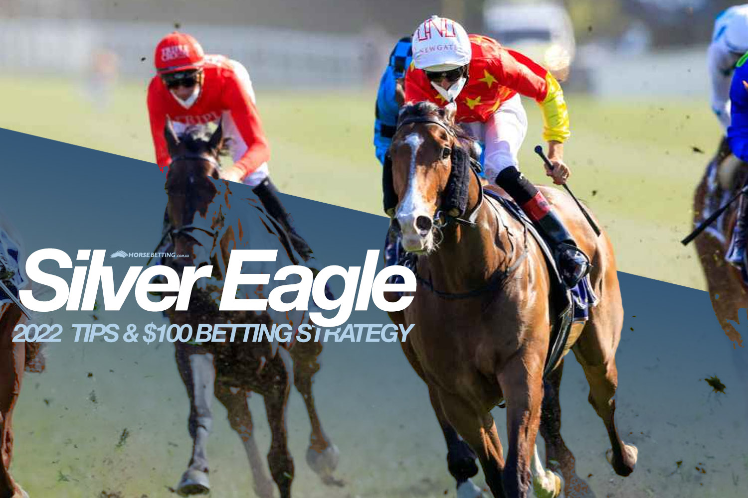 Silver Eagle betting tips