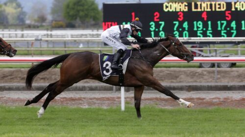 The-Intimidator-a-7589-scaled-1-500x280.