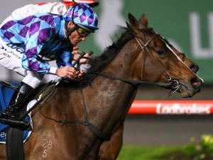 Princess Jenni on target for G1 Toorak