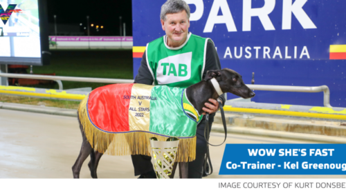 Wow-Shes-Fast-with-Kel-Greenough-APK-102