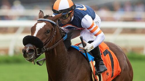 b795947167c4464489fa3e8d63ffef11-500x280