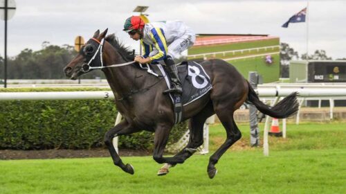 loch-eagle-may-be-aimed-at-the-stradbrok