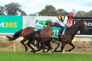 Lord Fandango wins at Benalla