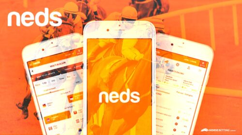 neds-app-ad-500x280.jpg