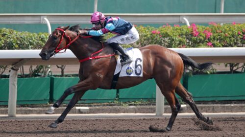 pic1_20221009-ST-R3-A90I1100o-scaled-1-5