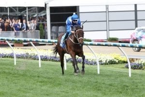 Winx unbeatable according to Peter Moody