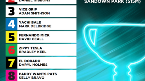 2022-Melbourne-Cup-Final-Box-Draw-1024x1