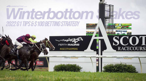 2022-Winterbottom-Stakes-Preview-500x280