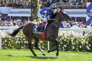 Brave Smash set to join Aquis Farm roster