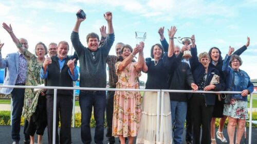 Cion-Grazia-Love-owners-blog-Addington-N