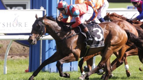 Demonetization-w-5775-scaled-1-500x280.j