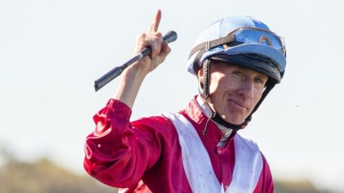 Gallops_Cup_4-3_18256132_1998019_2020030