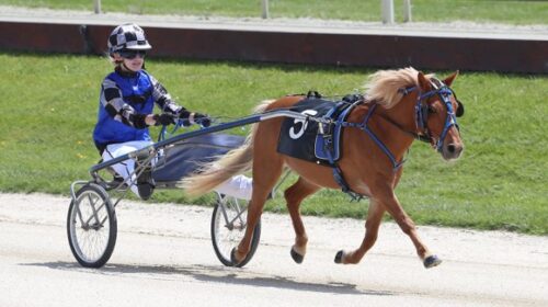 Gemma-Liefting-Pumpkin-Kidz-Kartz-blog-N