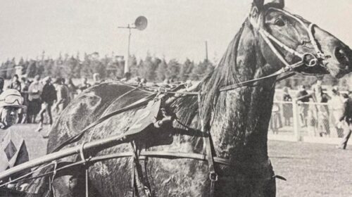 Hilarious-Guest-blog__ResizedImageWzYwMC