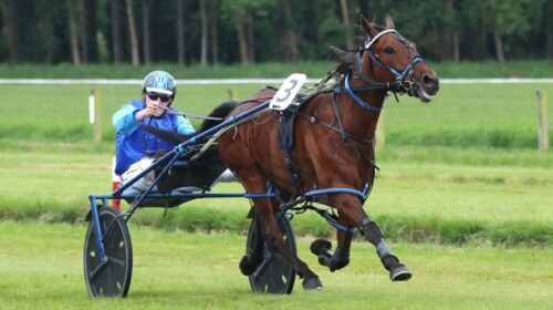 Homebush-Lad-Geraldine-Cup-Ben-Hope-blog