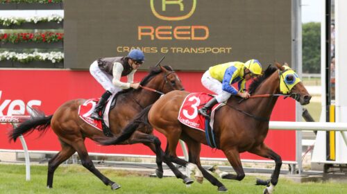 Kissinger-race-Cranbourne-12.11.22-BC-sc