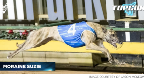 MORAINE-SUZIE-Topgun-caption-1024x536-1-