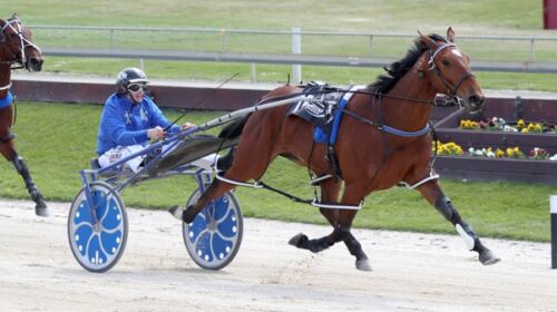 Millwood-Nike-action-2022-blog__ResizedI