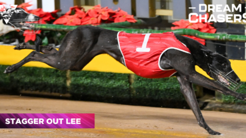 Stagger-Out-Lee-1024x536-1-500x280.png