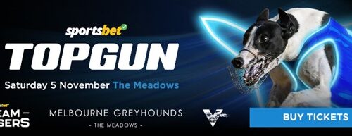 Topgun-ad-at-bottom-of-article-4-1-500x1