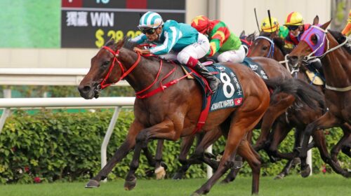 pic1_20220424-ST-R9-A90I7280sk-scaled-1-