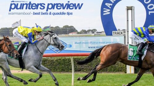 warrnambool-punters-preview-1-500x280.jp