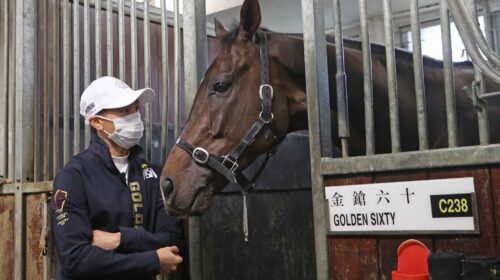 1_20221201-ST-JCX30823j-scaled-1-500x280