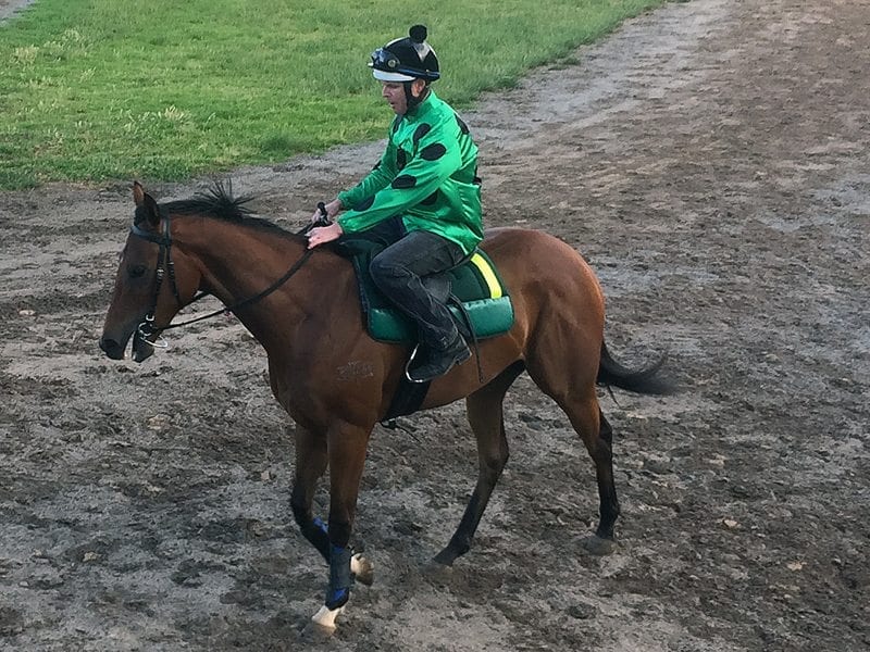 Black Caviar's daughter wins jump-out